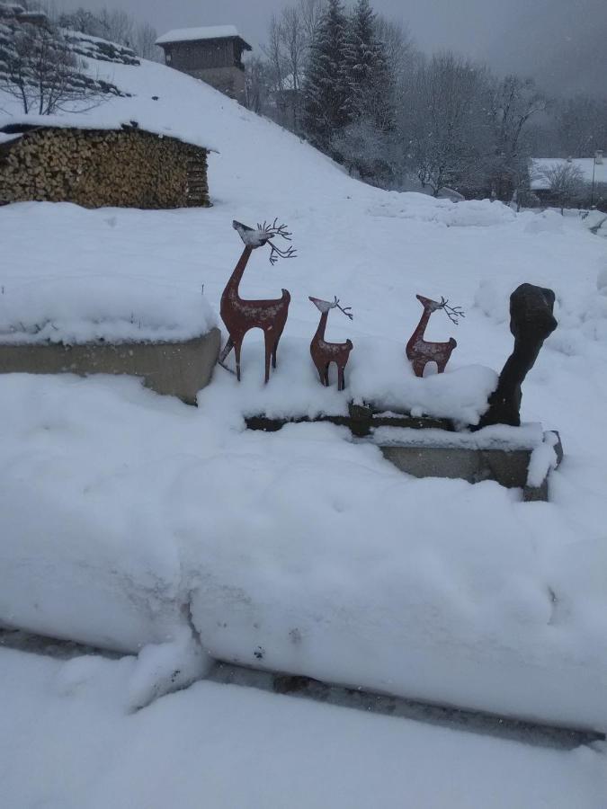Chalet Genepi Montriond Exterior foto