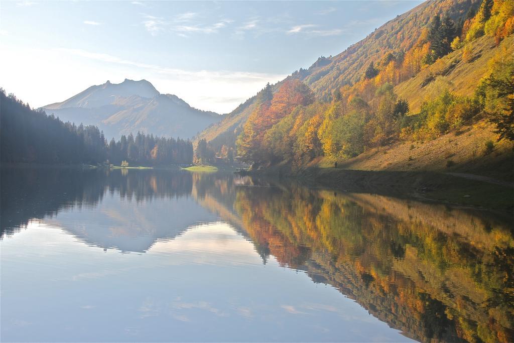 Chalet Genepi Montriond Exterior foto